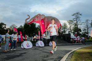 BIB: 
                            <button type="button" onclick="openModal(26529413)" class="btn btn-primary btn-sm float-right btn-popup" data-toggle="modal" data-target=".modal-high-quality">
                        <i class="fas fa-shopping-cart"></i> Add to Cart
                    </button>
                                            <button type="button" onclick="isThisMe(26529413, true)" class="btn btn-success btn-sm float-right btn-popup btn-isme hidden" data-toggle="tooltip" data-placement="bottom" title="นี่คือรูปของคุณใช่ไหม คลิกที่นี่เพื่อเอาเข้าอัลบั้ม">
                        <i class="fas fa-plus"></i> Add to album
                    </button>
                    <button type="button" onclick="isThisMe(26529413, false)" class="btn btn-warning btn-sm float-right btn-popup btn-isnotme hidden">
                        <i class="fas fa-ban"></i> Remove from album
                    </button>